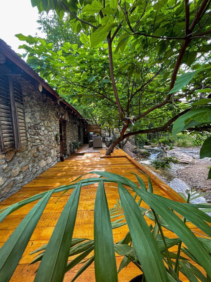 The Hunter House Ciudanovita Exterior foto
